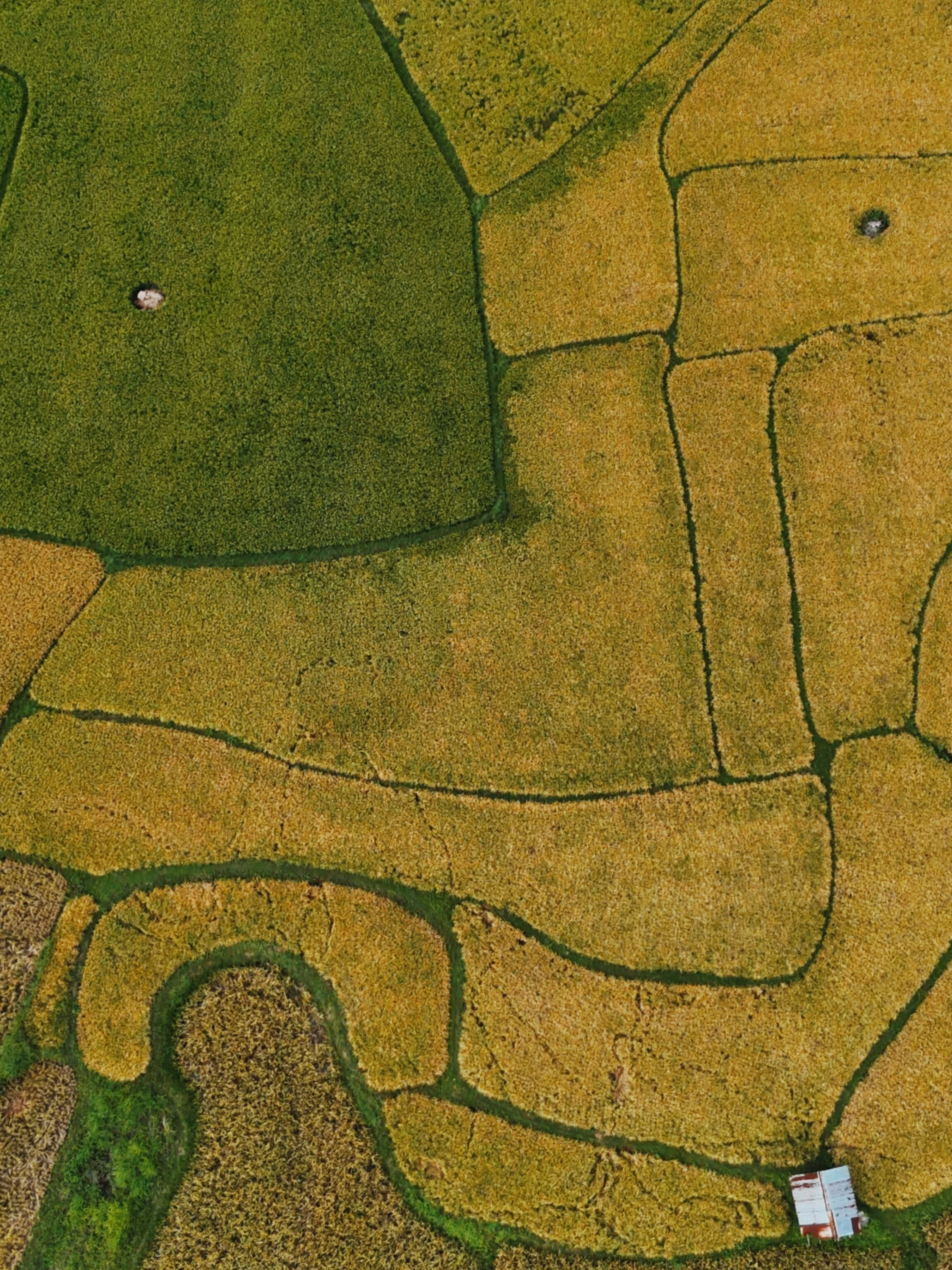 Tarasy ryżowe – widok z góry