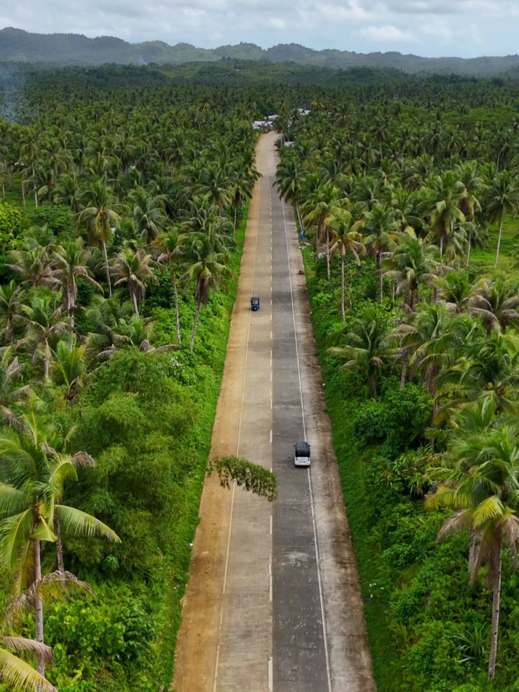 Coconut Road – Siargao