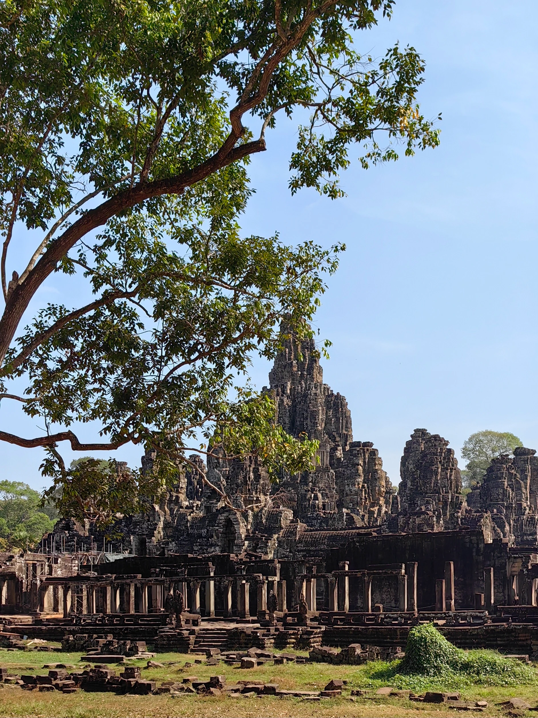Ta Prohm – świątynia w dżungli