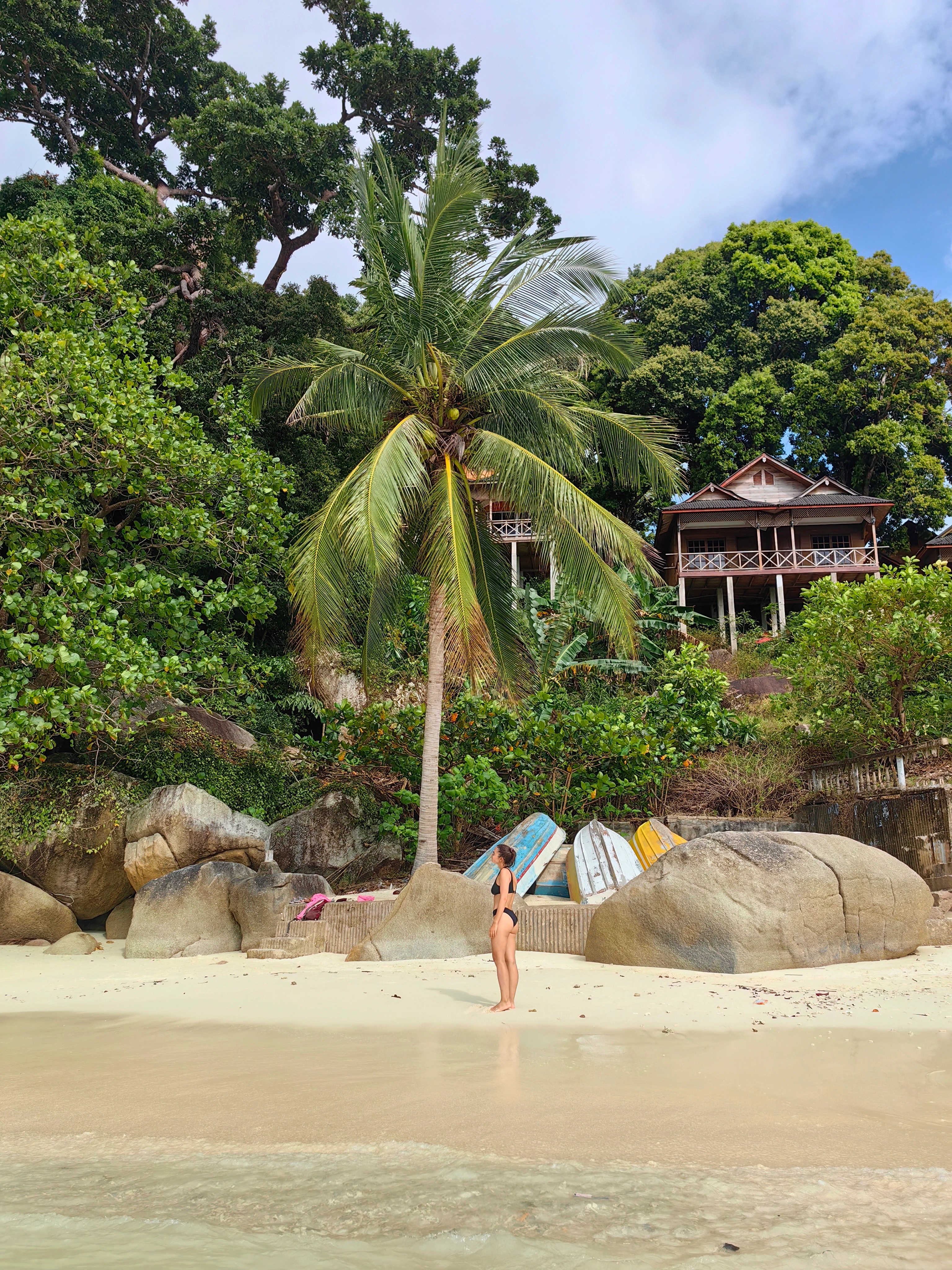 Perhentian Islands – plaża i palma