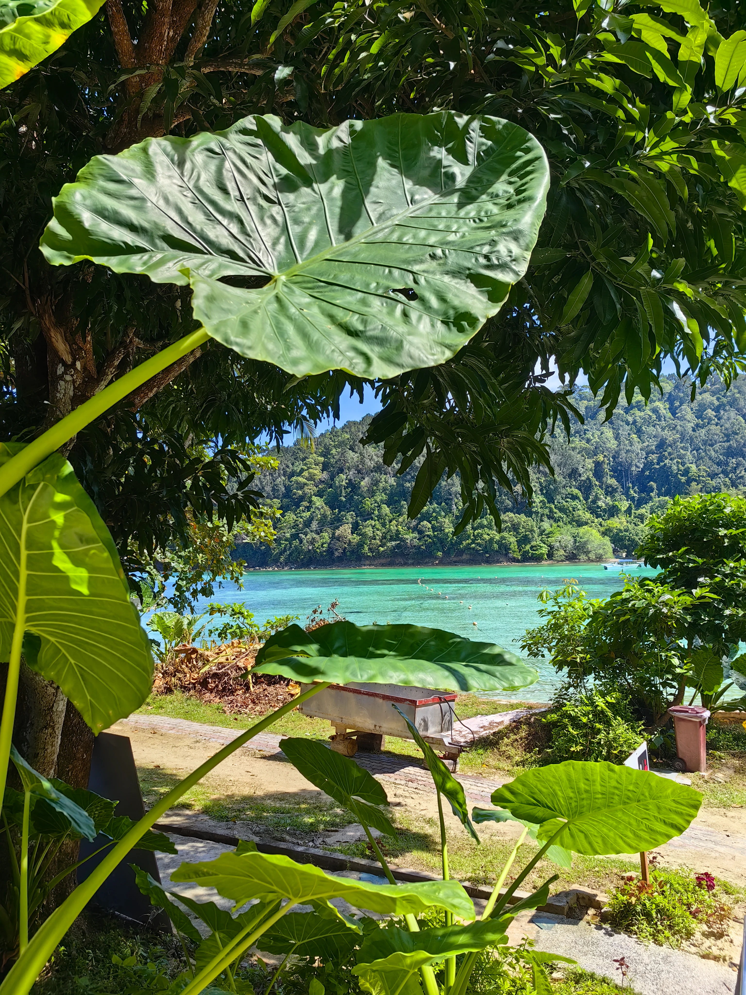Pulau Gaya – Borneo, turkusowa woda