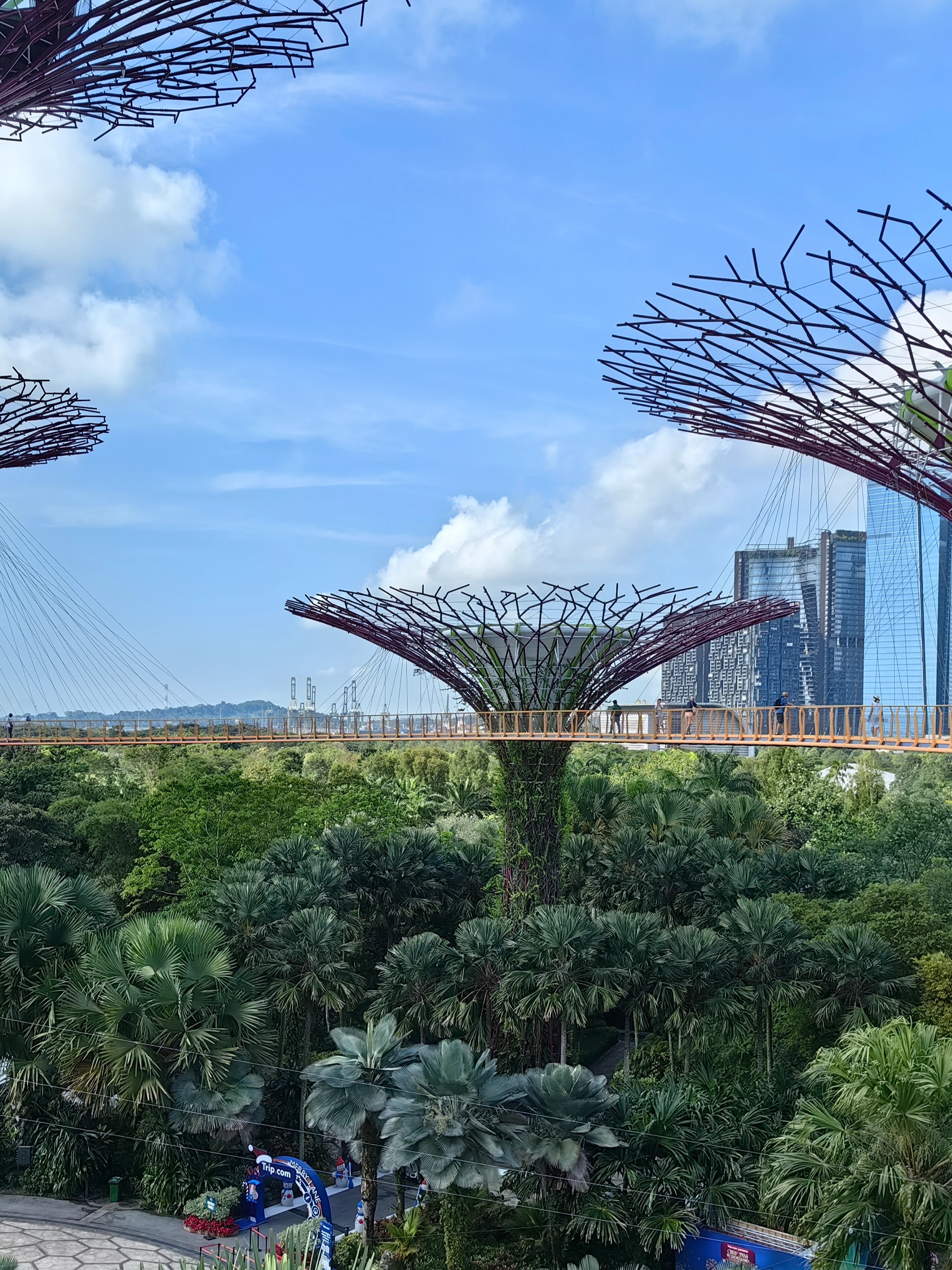 Singapur – Supertree Grove i kładka