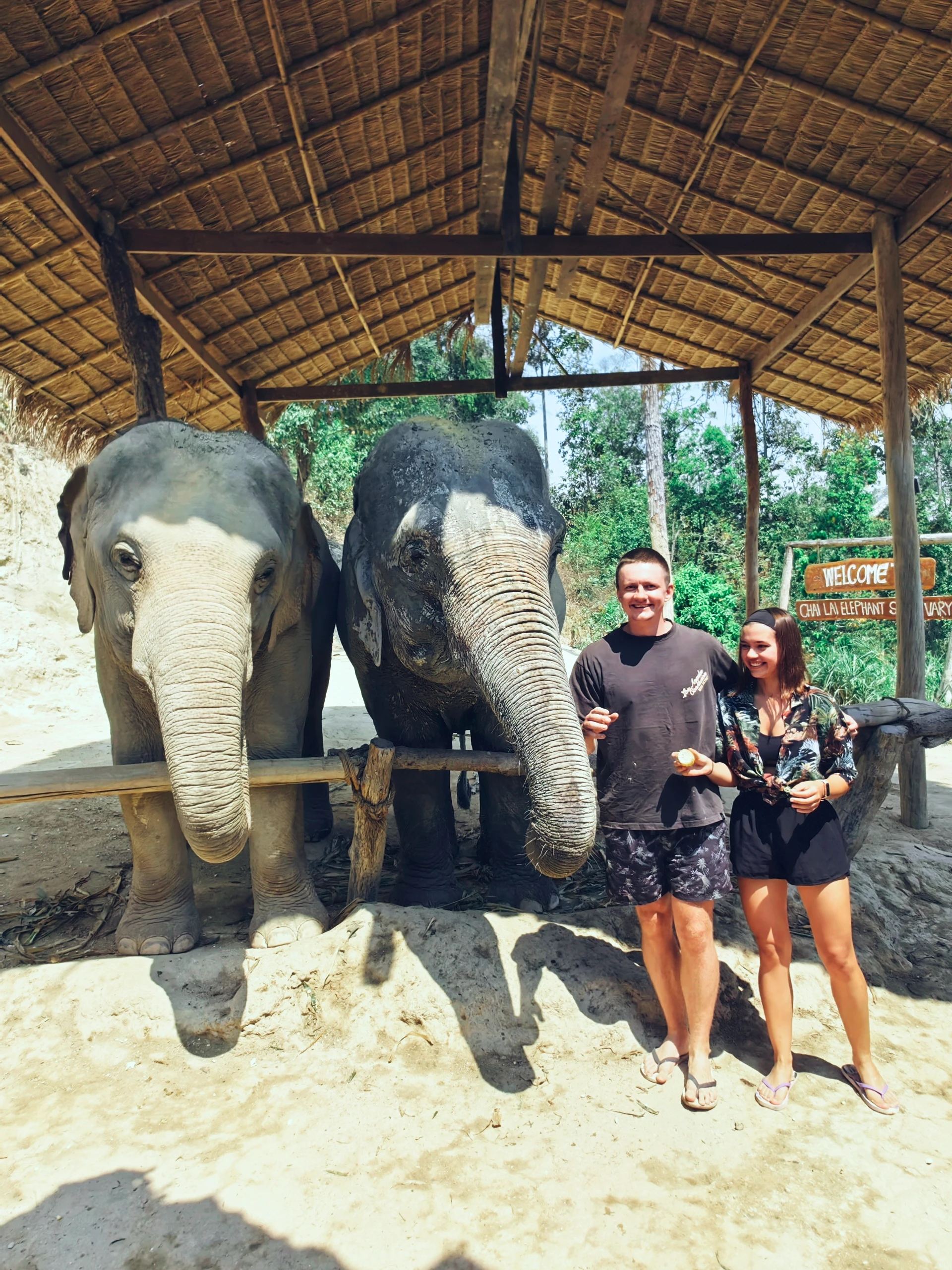 Tajlandia – Chiang Mai, sanktuarium słoni, karmienie